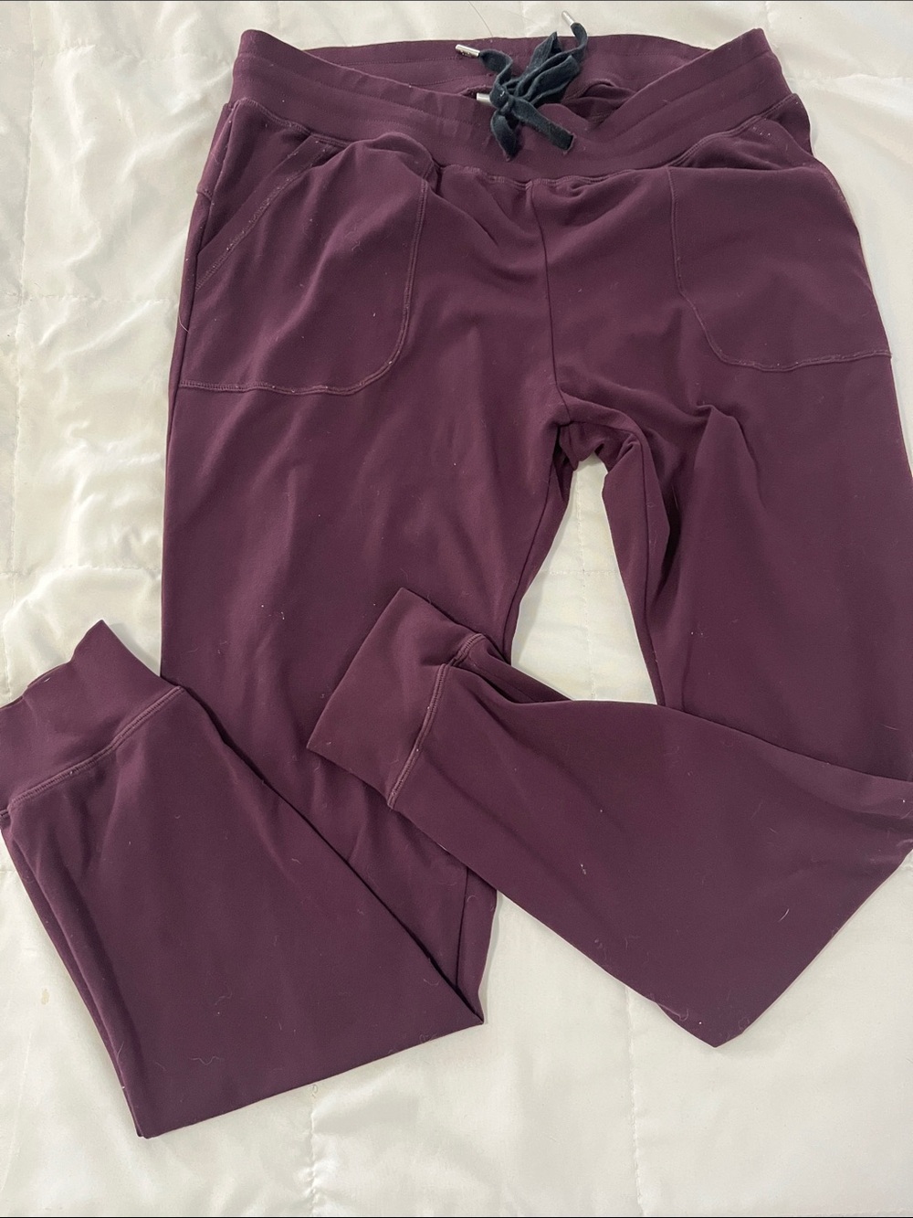 ZYIA Plum Drawstring Joggers